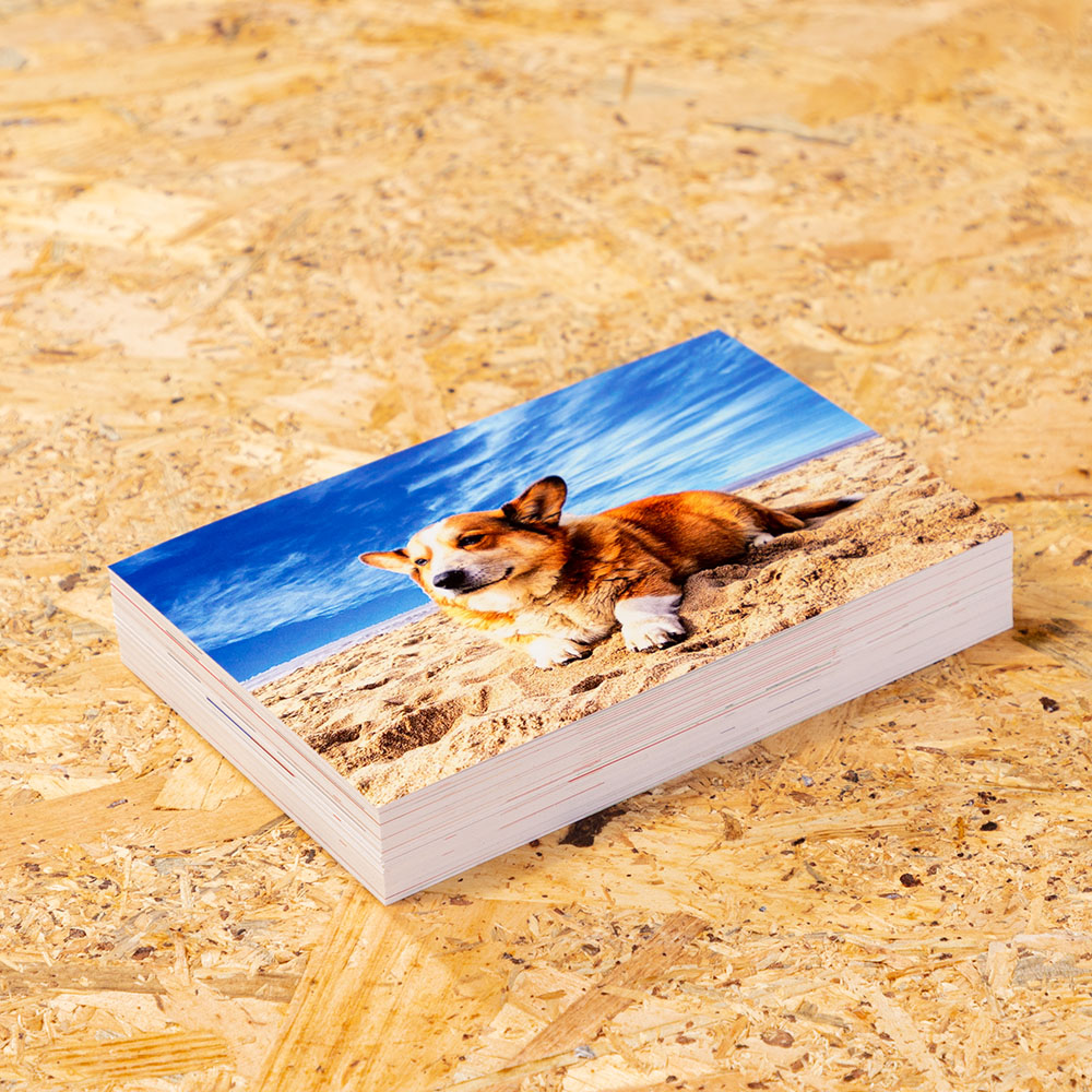 <px:theme:asset:description />