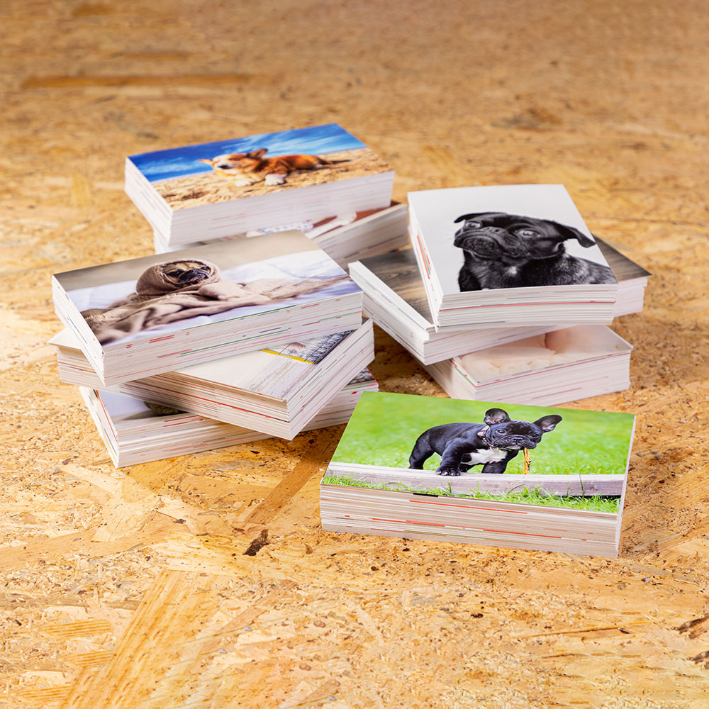 <px:theme:asset:description />