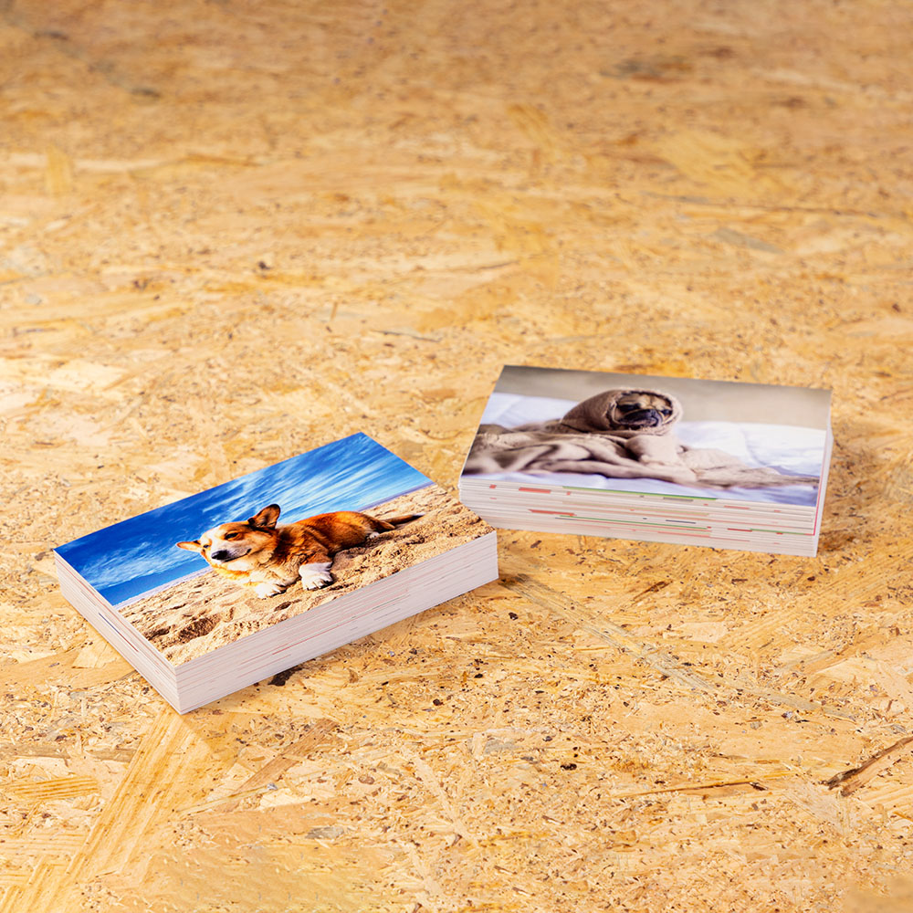 <px:theme:asset:description />