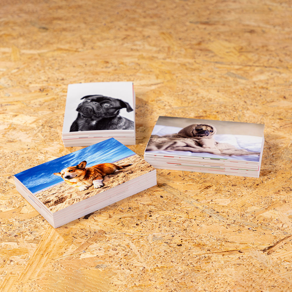 <px:theme:asset:description />