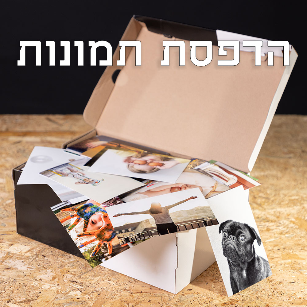 קטגוריה - תמונות
